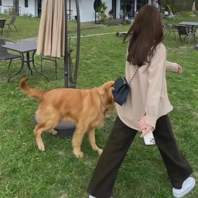 易普症海报