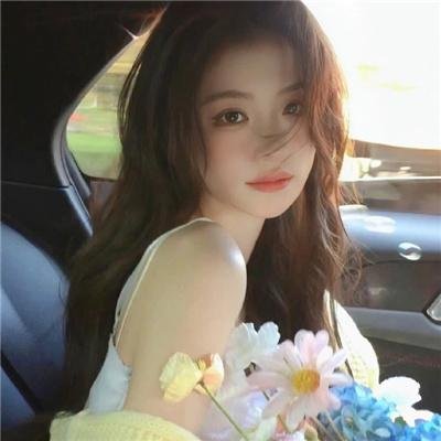 公猫海报